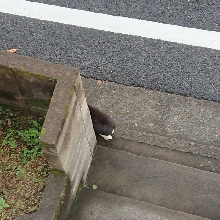 D934eaa3 f677 45cd 9ce4 7e48a4b5e17b 1633235402870