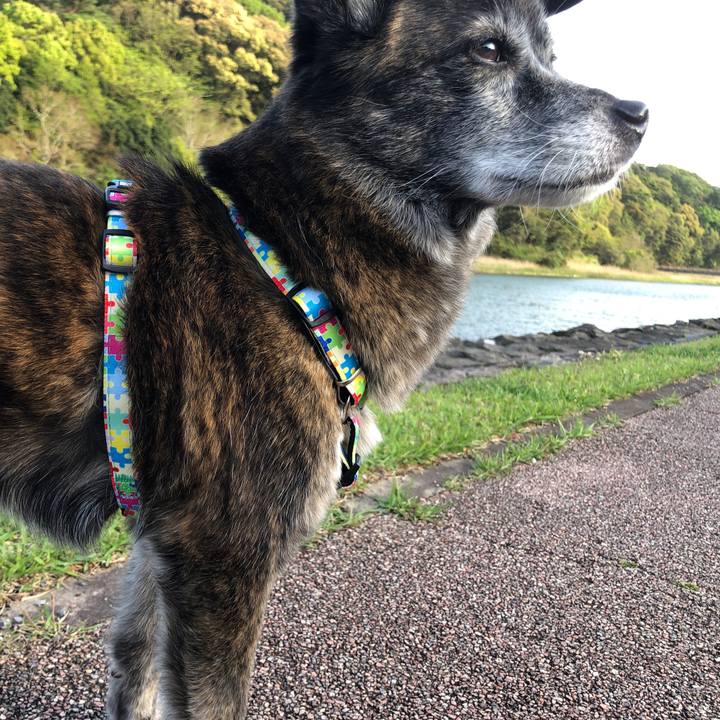 D934fee1 4aec 4742 a216 0beb1af53cff 1682500423573