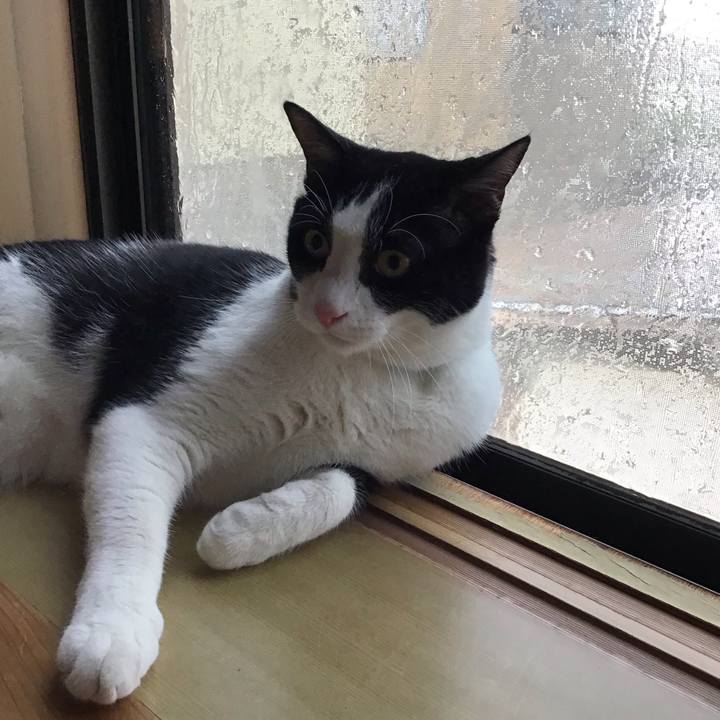 D9350ddd 1c10 4324 b92d 6b413b251561 1721979626513