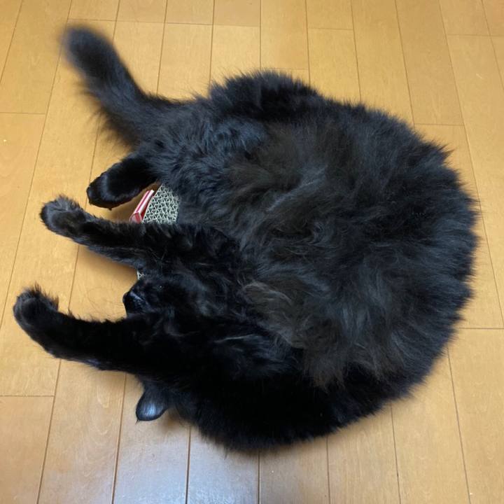 D935587b d94a 42ed b46b 76583842224b 1575031988693