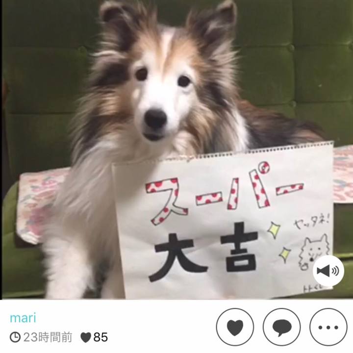 D9356781 0a62 4a1c ac87 3d183b423c77 1584205784379