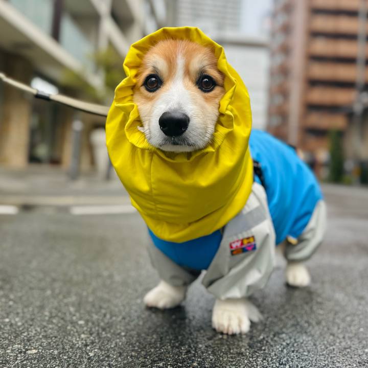 D9359d89 6406 4d99 a6ab e22f18b62fc1 1772551881172