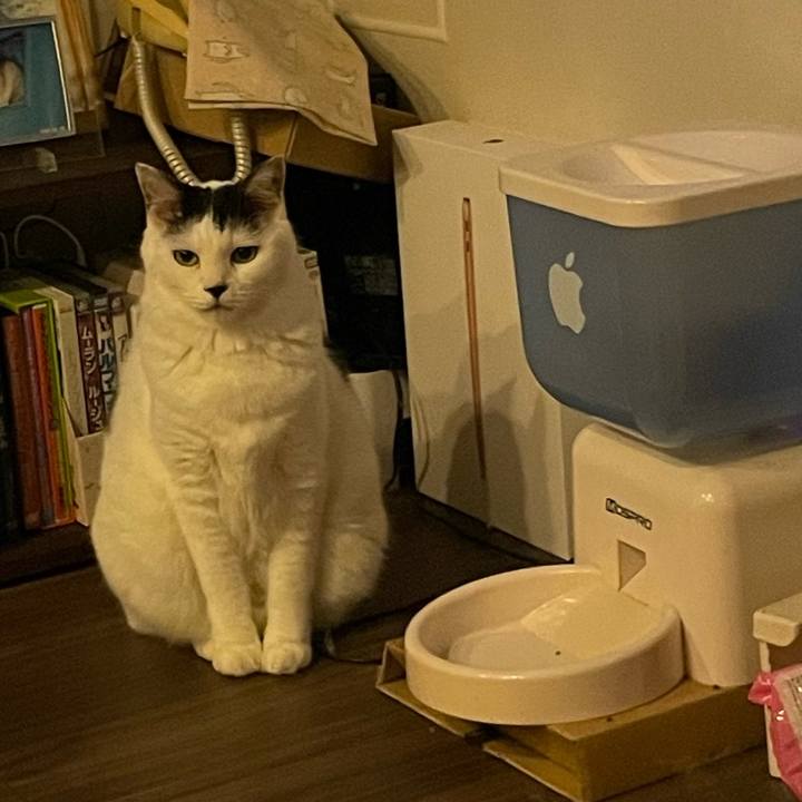 D935f77c a1bd 4de3 bf2b 68b0b26b8d69 1669385734208