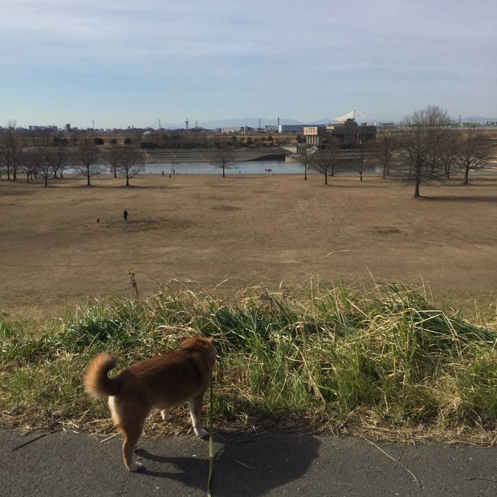 D935f85b 88c1 4906 bcc8 e579da390aa2 1612928424623