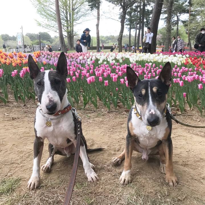 D936022f b1b3 43a0 8fdd 2f83f46b668f 1523755197426