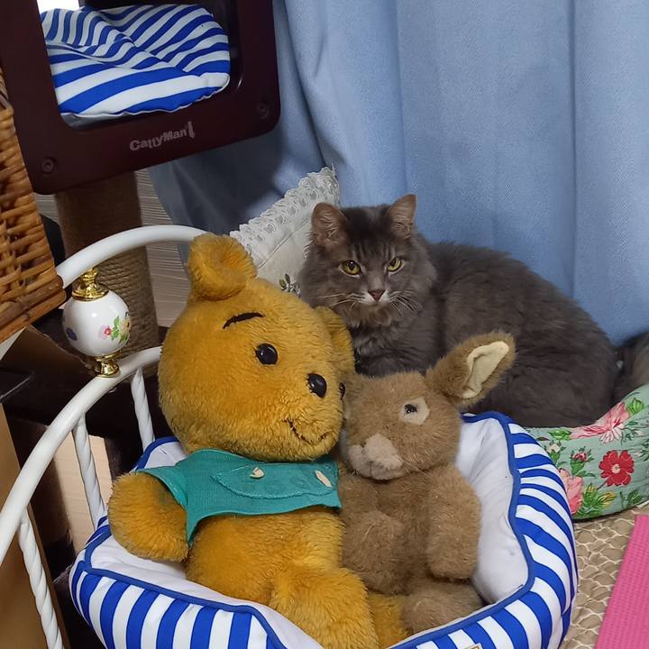 D93621cf 29fa 4b59 8a08 3d4c20b5891a 1658998169073