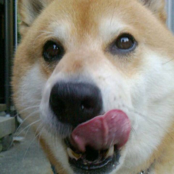 D93630b8 92b8 4a14 a423 a511767c2c2c 1527402513157