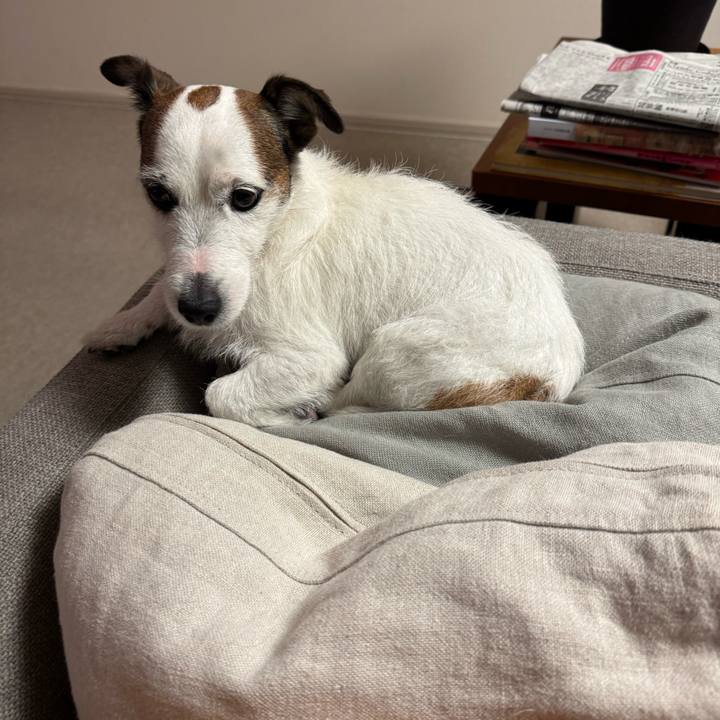 D9363101 e11f 4556 abf9 1c7bceb79594 1768394660127