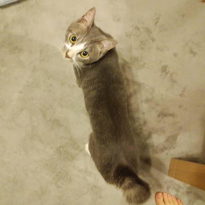 D9363574 17b1 4a95 a216 7f2cd70500f8 1594904554725