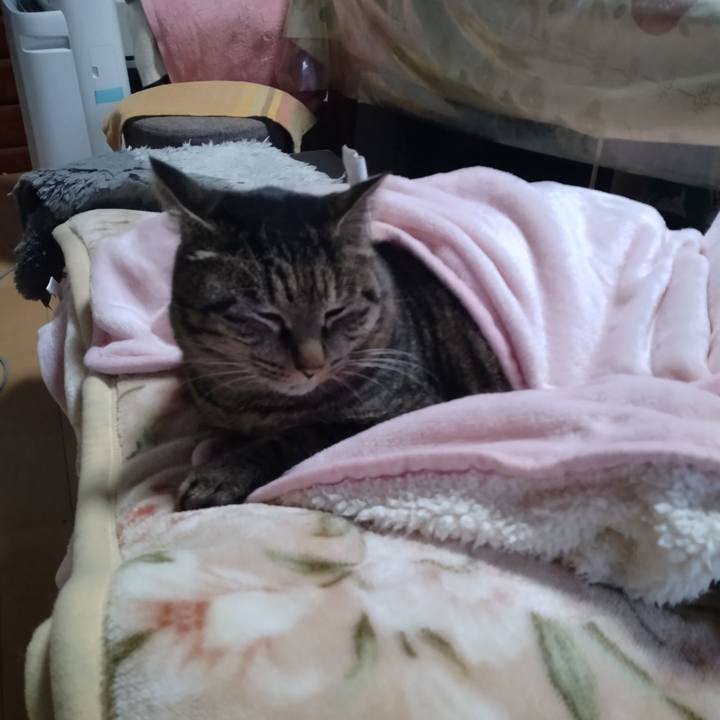 D9365e82 b396 4c93 b4c9 c6260c9496e3 1674340516813