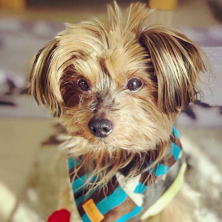 D9367400 3590 43b0 899a a0704db19e55 1515990555802