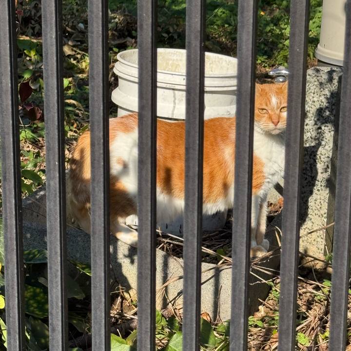 D936917a 7534 4829 86a9 01af8b8c22ea 1763087392810