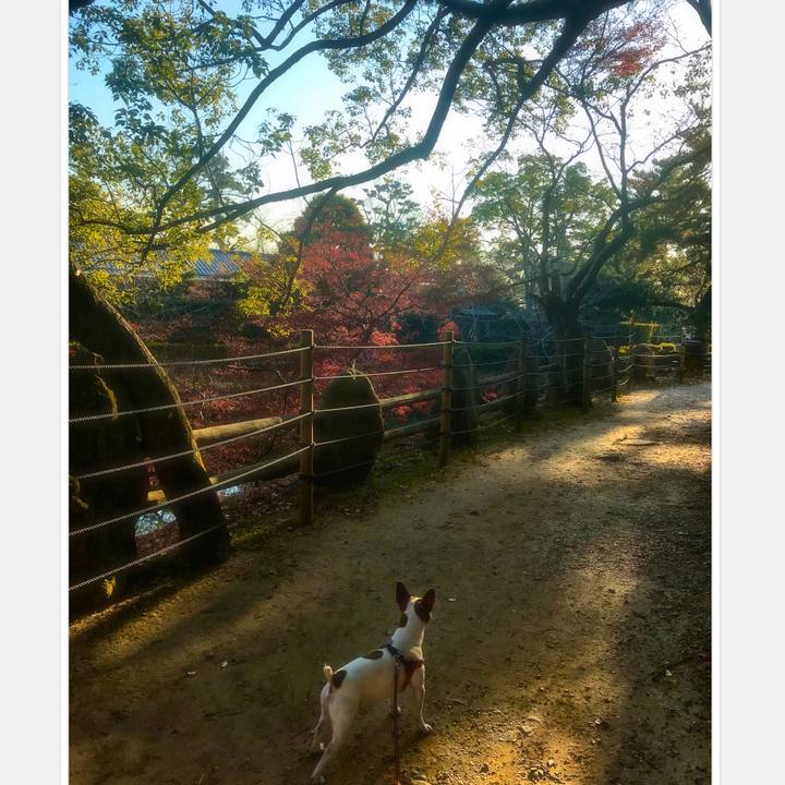 D936b68d caff 47e2 a630 f78c5cc7f6a7 1513951506272