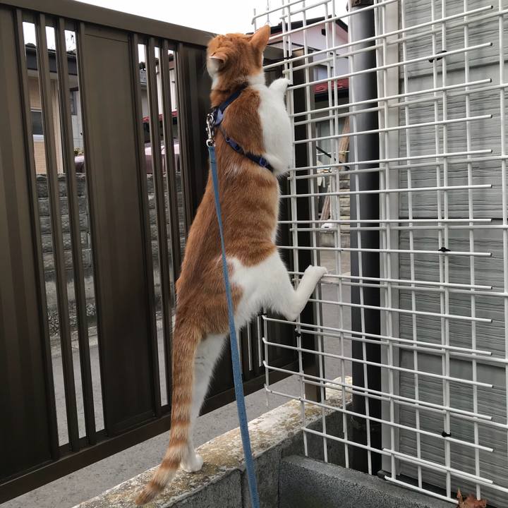 D936d125 e0b2 4be6 88d3 f8a569ced15f 1521957290624