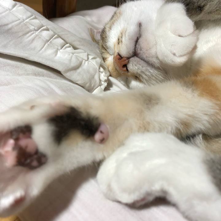 D936fef6 fc82 4116 96b5 4de0ba2a0534 1563112378060