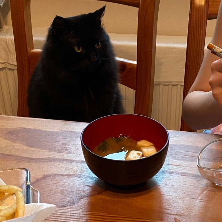 D937265f 51f3 4140 9733 99a0ea0592bc 1593419171373