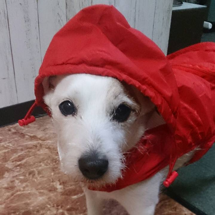 D93774cc 0e66 4a88 a8e8 90ebbbda2c3c 1512773196355