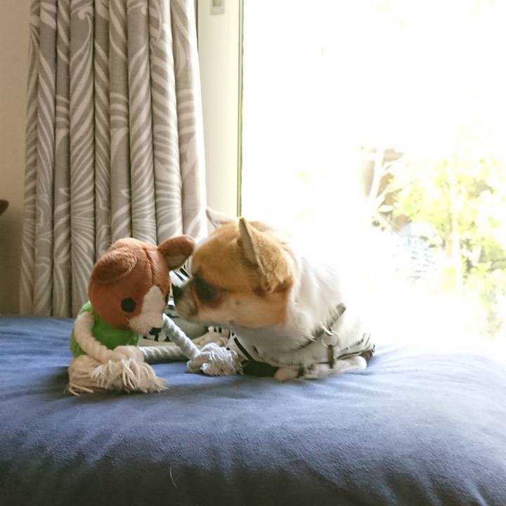 D9377e52 c731 4540 b7c8 d76cb4fa43fb 1558047003823