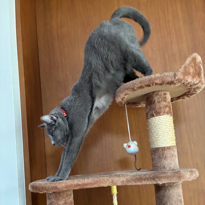 D93787b0 553f 49c6 86e4 f21292f67709 1764845028566