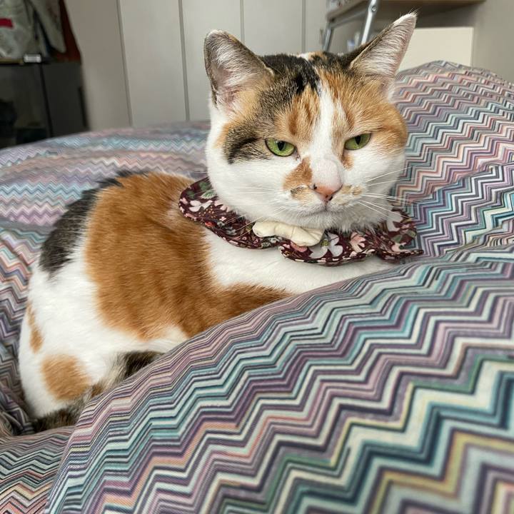 D93795f2 cdb2 4179 85a1 d1460b3c98a3 1743377710342