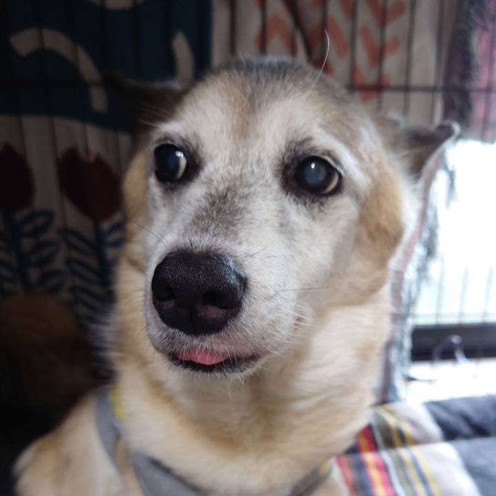 D937b5f2 3dcb 48aa 92d0 8751aa043dfb 1751162600692