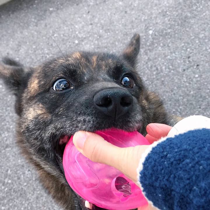 D937d248 3190 452d 9254 fae9187000e1 1539591171858