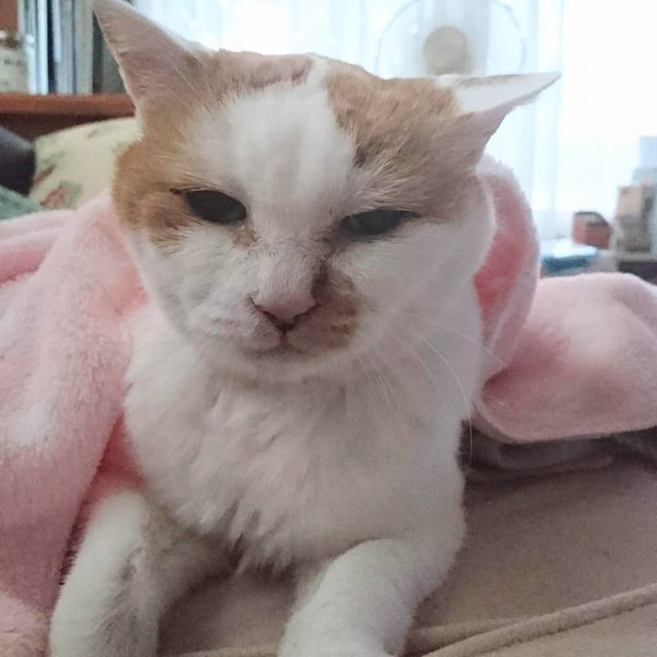 D937d6a4 2836 4551 a797 e0b6b3324805 1665356834051