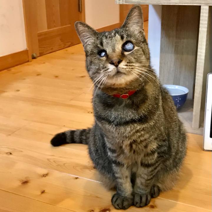 D937dfc3 de49 46a6 9edc 27c3307e7d7a 1621755563099