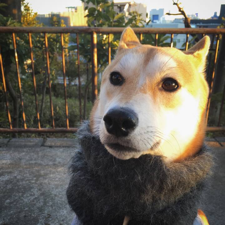 D937e601 9ada 4bb1 9e97 d5e646acc82a 1515952434894