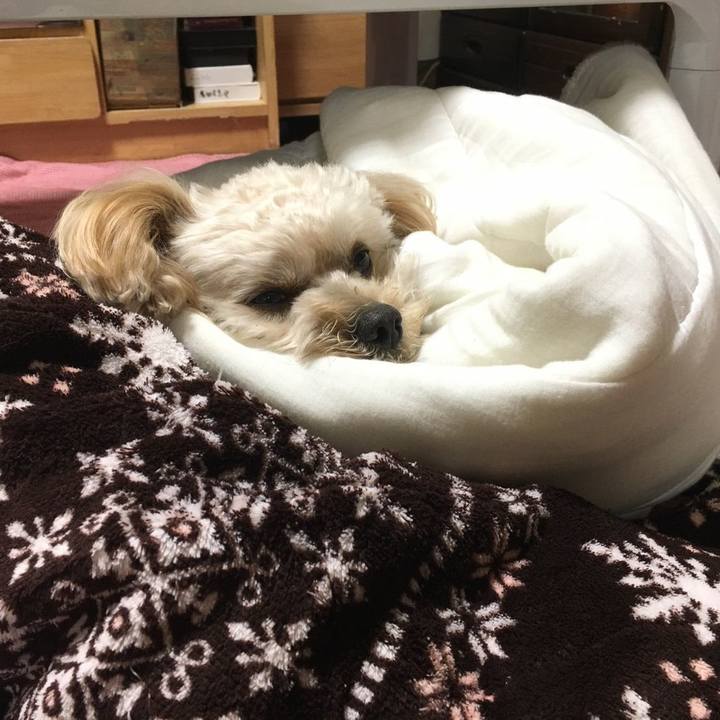 D938bad2 e71f 4d7d 8216 728503d40d09 1541205099836