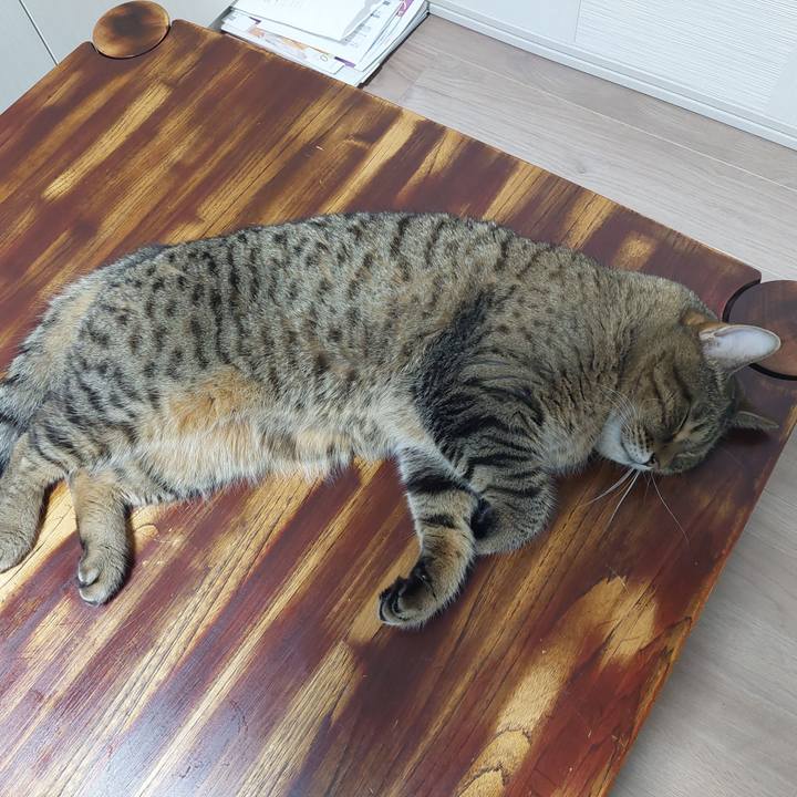 D938c8b6 3f04 4da4 95c5 733fb5b8c84b 1634678823128