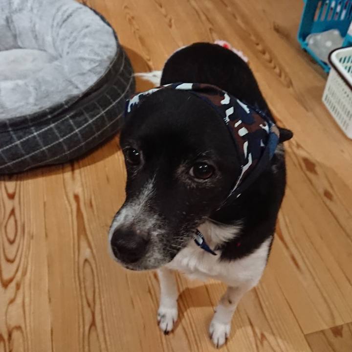 D938fc04 e0b9 4596 bc55 d4647f8f847d 1641894589756