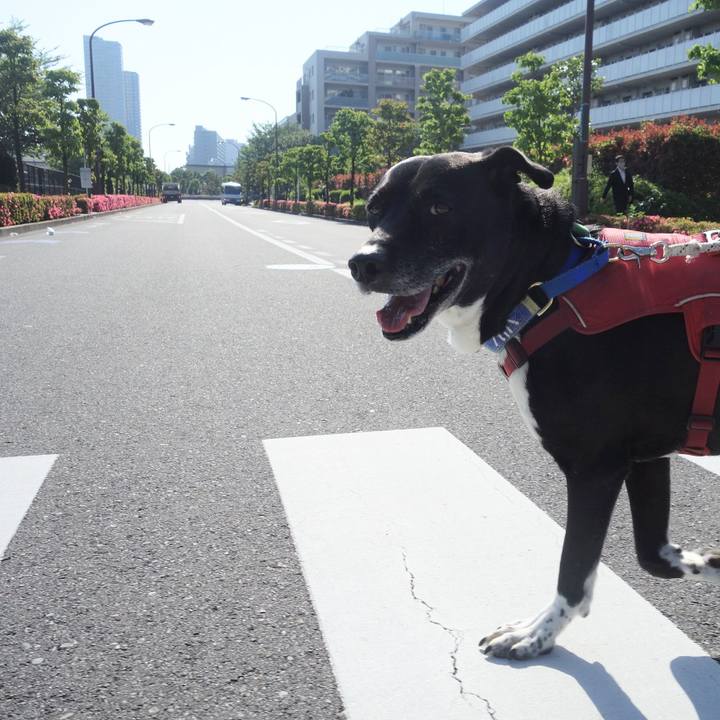 D938fef3 76a9 4455 87d5 e59dbcafa1a9 1683679009406