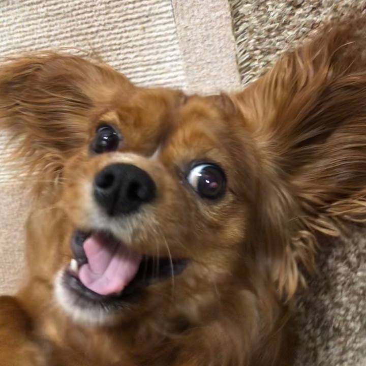 D93935a2 5e35 49e7 9de7 5c60ac89446a 1561121107313