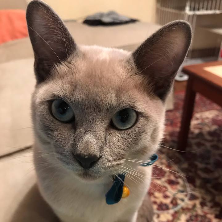 D939f086 f6d8 4db1 8543 1fcfb93cafbe 1540114016814