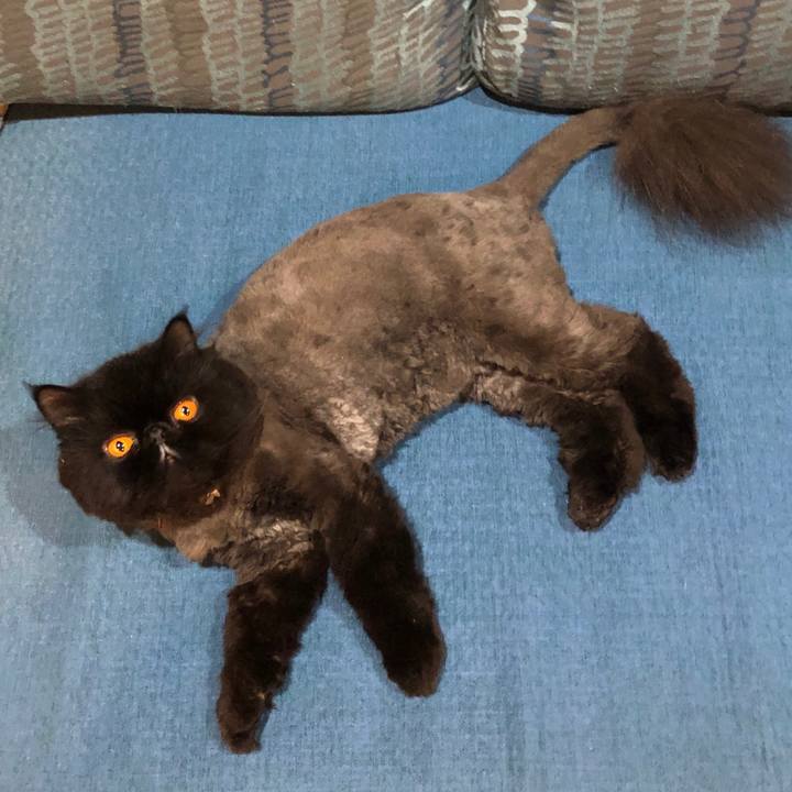 D93a26ac 01e9 46bc b6a5 26dfc08d72f6 1563719327754