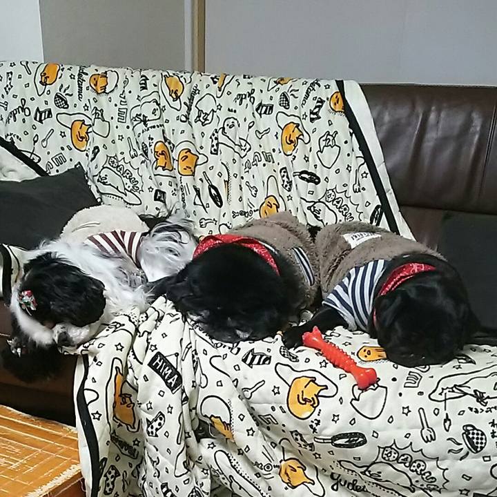 D93a5058 e1a2 44ea b240 03528b9df959 1545926283382