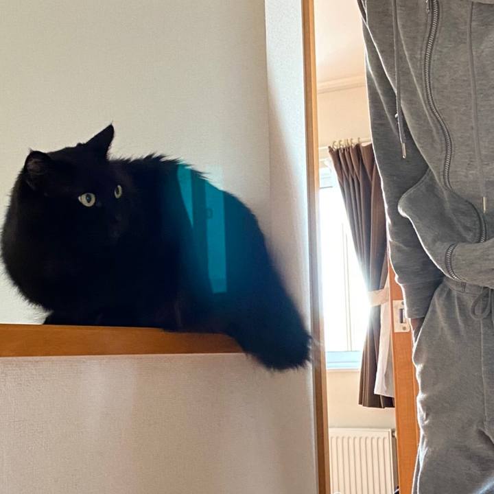 D93a594f b6d0 4631 a5f2 ced26d721834 1586830793952