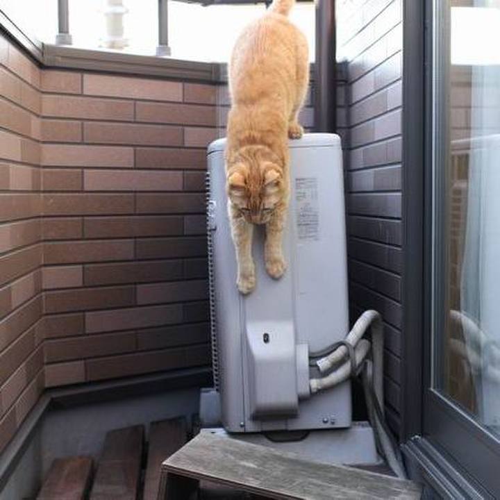 D93a72d3 3e2d 407d b0e8 722048e29a8f 1764201237555