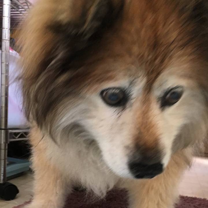 D93a886f 1b74 4263 834c 66e7670acc1d 1567898921379