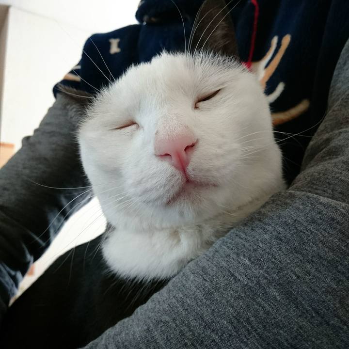 D93a9943 0b84 4bda 915e dcafdd7ef4ba 1518683760716