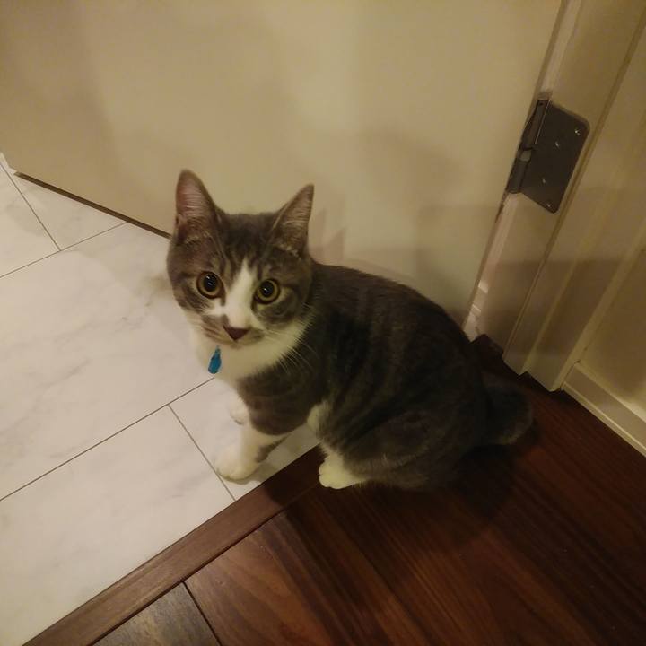 D93ab4ac 49a0 4d2b 854a 9e547e3830d2 1575471292725