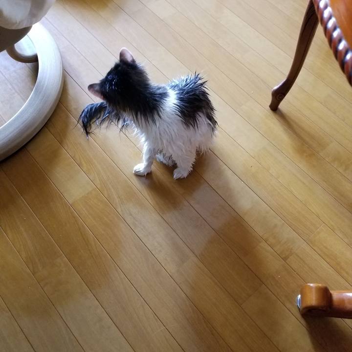 D93aec10 78ef 4675 89e7 f3d7a2430331 1535256187454