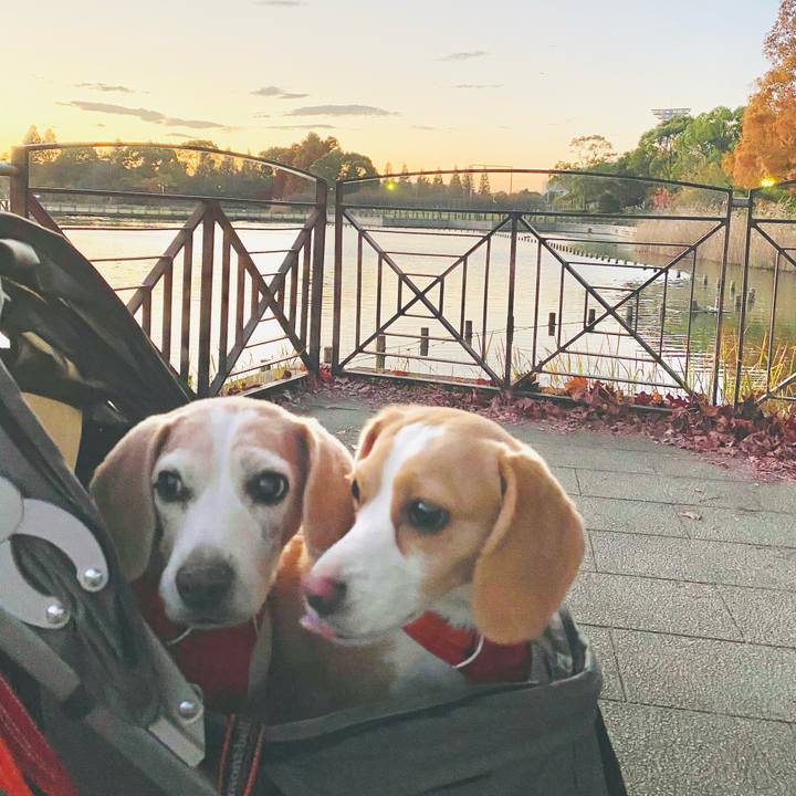 D93af858 3f43 4922 bb5f a446ce12e4b5 1605800057362