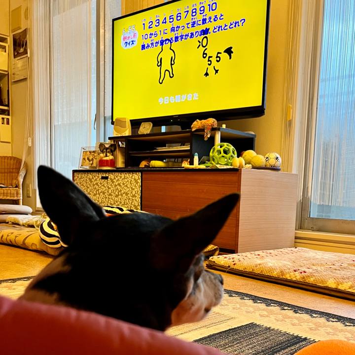 D93b3ad2 3f28 4717 b848 25d22c59ab83 1644963145854