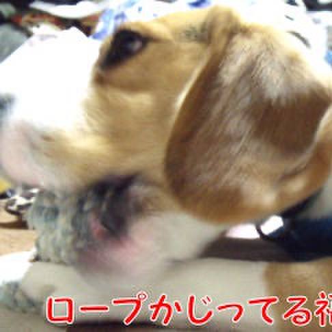 D93b55e6 624f 4037 9258 ecc6258879e7 1708477449592