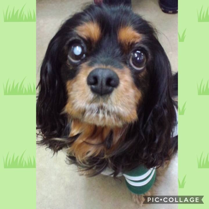 D93b786b 60af 47ba b2e8 25d77f29ca26 1558012898710