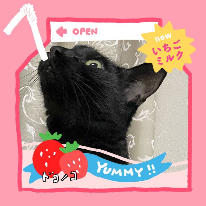 D93b8e7f a811 4cff b88d 8dc05a86da6c 1711243134205