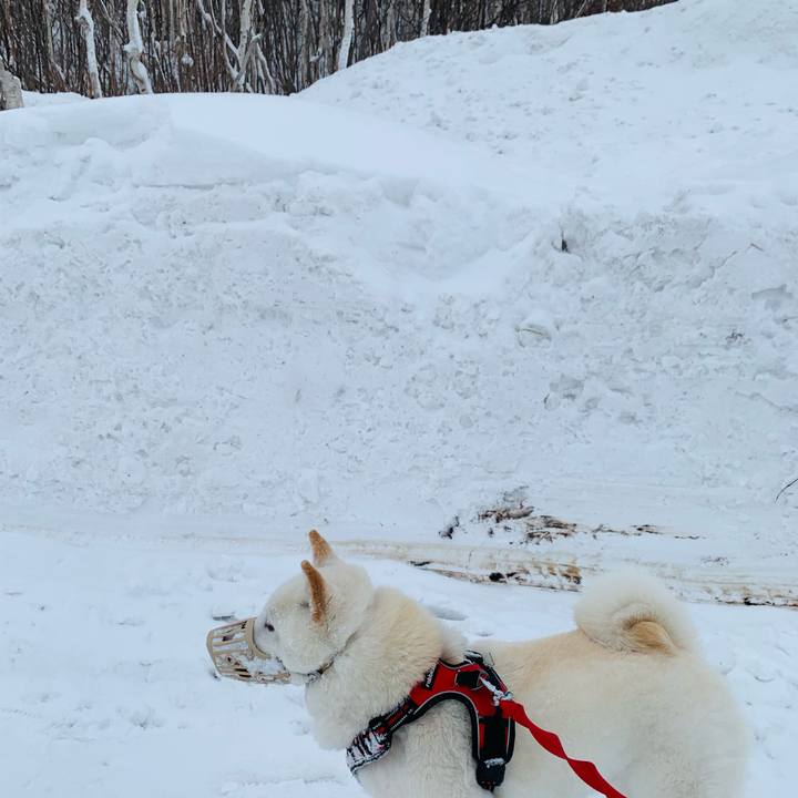 D93b9488 5b8d 4f09 a88a 12aa56bb89e0 1609203073893