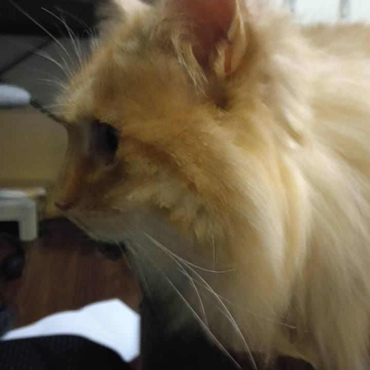 D93b9505 53ce 45a1 a23b f0642388357f 1683805510349